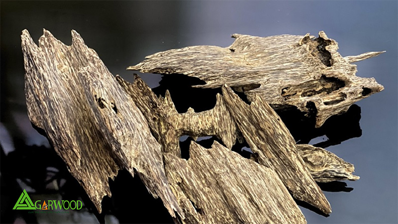 Trầm hương là loại gỗ có linh khí